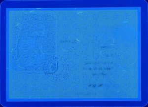 POL-HD-01001 - 
<Verso> - Elemento UV