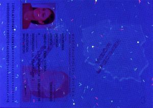 POL-HO-06001 - 
<Recto &ndash; identit&agrave;> - Elemento UV