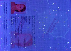 POL-HO-06002 - 
<Prednja strana &ndash; identitet> - UV zaštita