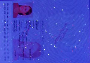 POL-HO-06003 - 
<Recto &ndash; identit&agrave;> - Elemento UV