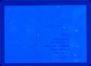 POL-HS-01001 - 
<Verso> - Element UV
