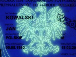 POL-PN-02001 - 
<Recto &ndash; identit&agrave;> - Elemento UV