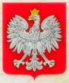 Image 289740 of Technika nanoszenia środka kryjącego