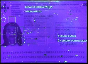 PRT-AD-01003 - 
<Integrated biodata card - recto (identity)> - UV feature
