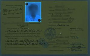 PYF-HO-01002 - 
<Recto &ndash; identit&agrave;> - Elemento UV