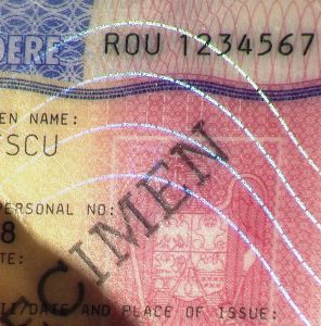 ROU-HO-03006 - 
<Recto &ndash; identit&agrave;> - OVD - elemento otticamente variabile