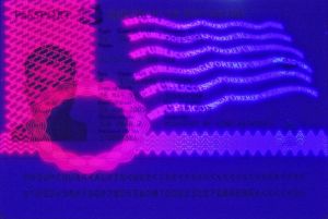 SGP-AD-03001 - 
<Tessera integrata con dati anagrafici - recto (identit&agrave;)> - Elemento UV