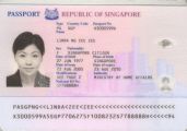 SGP-AO-04001, O