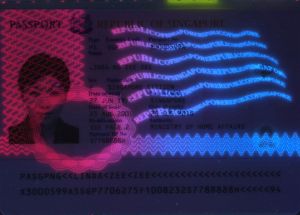 SGP-AO-04001 - 
<Tessera integrata con dati anagrafici - recto (identit&agrave;)> - Elemento UV