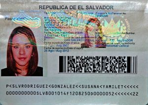 SLV-AO-02001 - 
<Paġna tal-bijodata> - Pellikola
