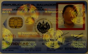 SLV-FO-01001 - 
<Recto - identit&agrave;> - Pellikola