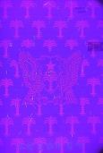 Image 178345 of UV-feature