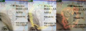 SVK-HO-04003 - 
<Recto &ndash; identit&agrave;> - OVD - elemento otticamente variabile