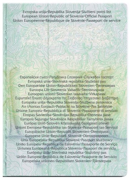 SVN-AS-01005 - 
<Tessera integrata &ndash; verso>
                