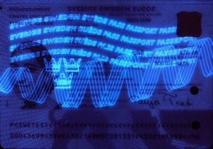 SWE-JO-03002 - 
<Kard tal-bijodata integrata - recto (identit&agrave;)> - Element UV