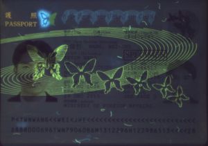 TWN-AD-03001 - 
<Paġna tal-bijodata> - Element UV