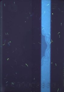 TWN-AD-03001 - 
<Paġna/i ta' ġewwa> - Element UV
