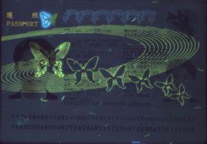 TWN-AS-03001 - 
<Paġna tal-bijodata> - Element UV