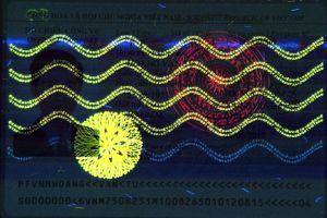 VNM-AS-01002 - 
<Paġna tal-bijodata> - Element UV