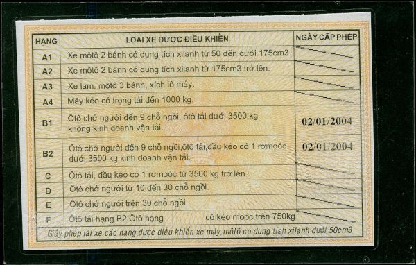 VNM-FO-02001 - 
<Verso>
                