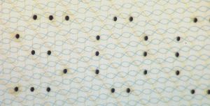 XKX-AS-01001 - 
<Inner page(s)> - Numbering