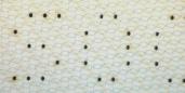 Image 382405 of Numbering