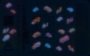 XKX-FO-02001 - 
<Zadn&iacute; strana > - Jištěn&iacute; v UV světle