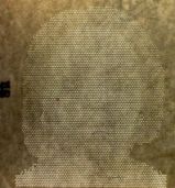 Image 233930 of Imagine facială